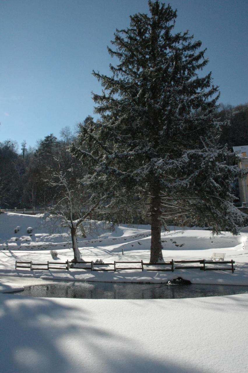 Appart Le Chili- Quartier Thermal- Lit Fait Luz-Saint-Sauveur Exteriér fotografie